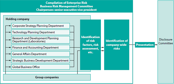 Risk Management System Diagram