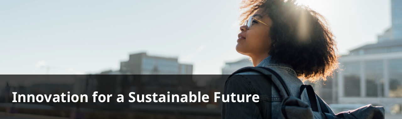 Innovation for a Sustainable Future (Open other window)