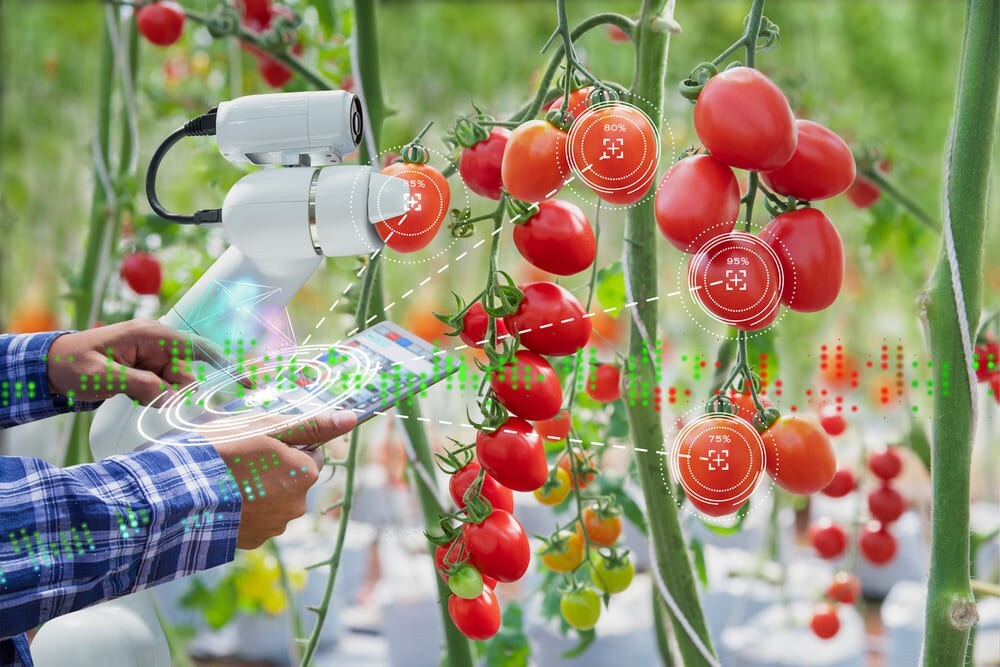 Image: Predicting Harvest Yield with AI - Making the Supply Chain Smart