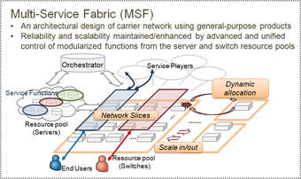 Fig.2: About Multi-Service Fabric (MSF)
