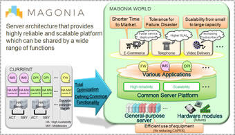 Fig.3: About MAGONIA