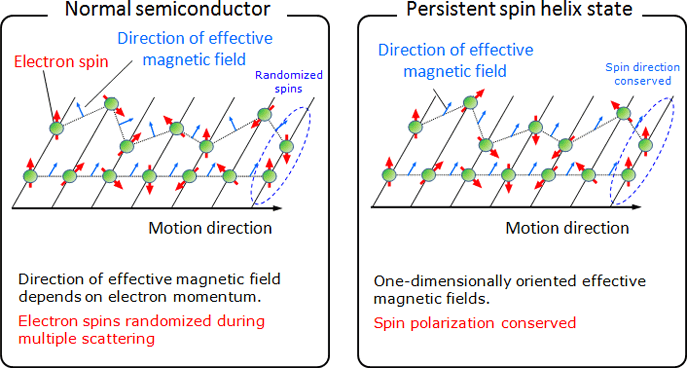 Fig. 2 Enhancement of spin lifetime in persistent spin helix state