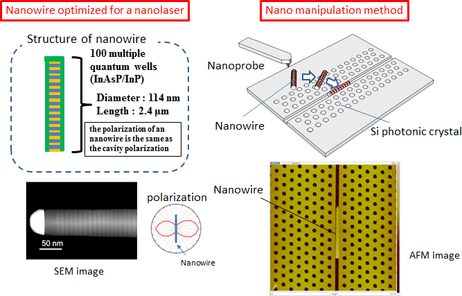 Fig.4  Fabrication of the nanowire laser