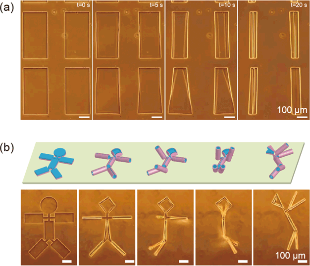 Fig. 1: Encapsulation of cells using the principle of thin-film self-assembly