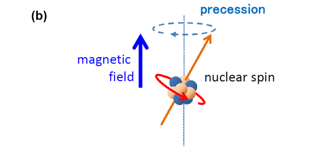 Fig. 1: Schematic drawings of atom and nucleus (b)