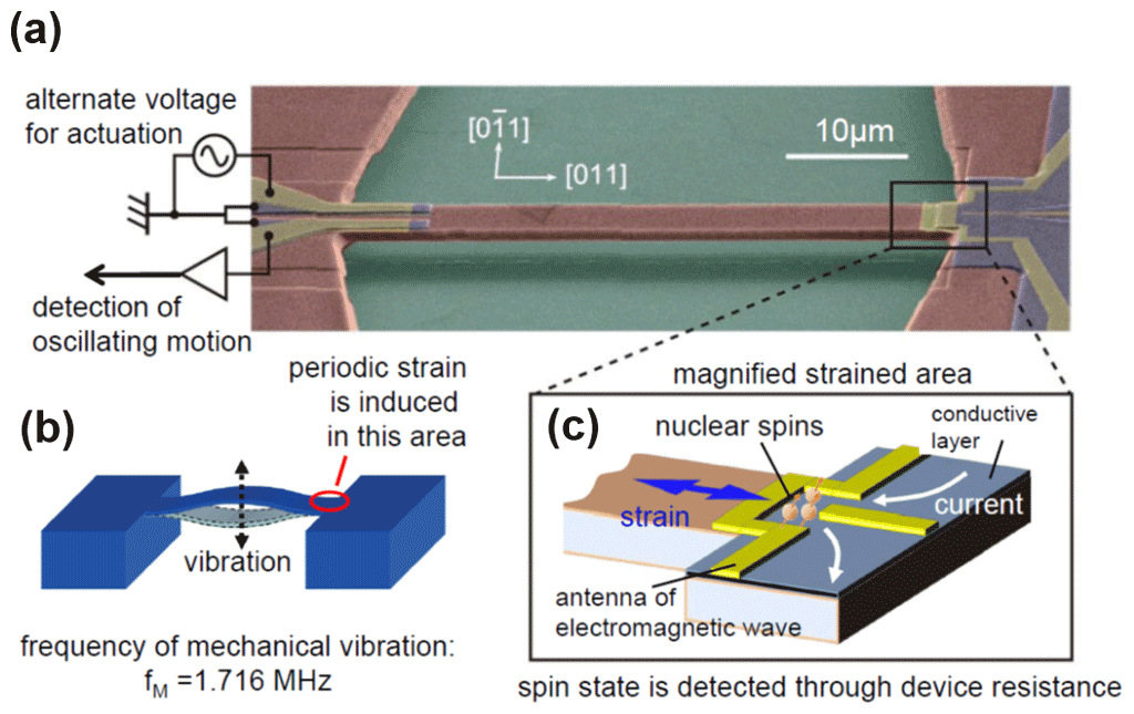 Fig. 2: Mechanical oscillator used in this study