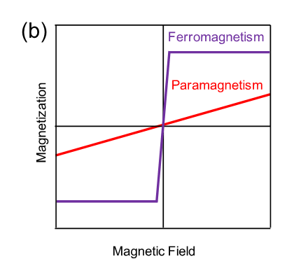 Fig. 2b: Schematic diagram of the magnetization versus applied magnetic field curve for ferromagnetism and paramagnetism.