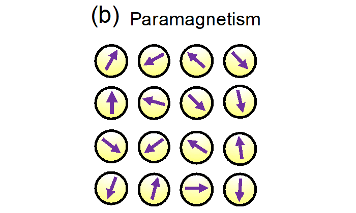 Fig. 4b: Schematic diagram of paramagnetism.