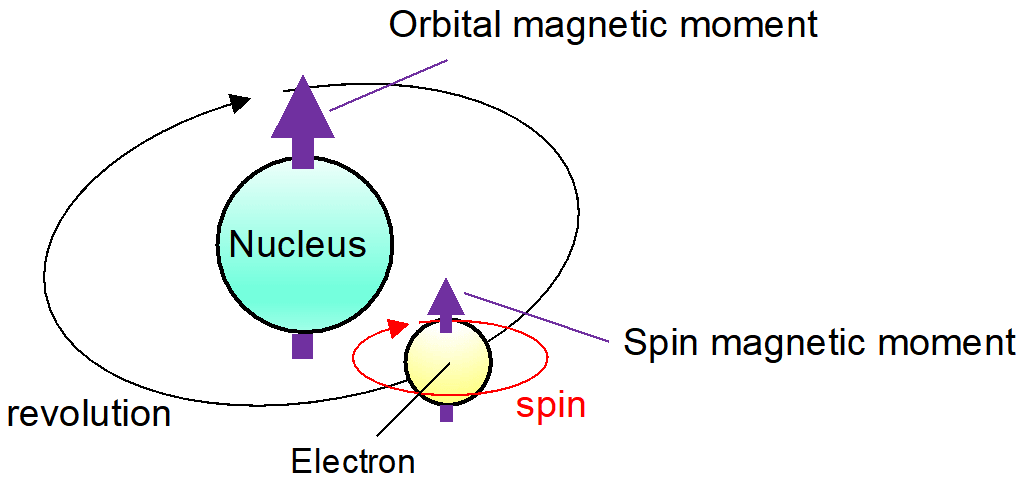The magnetic moment of atoms, electrons, nucleus, molecules, and elementary particles