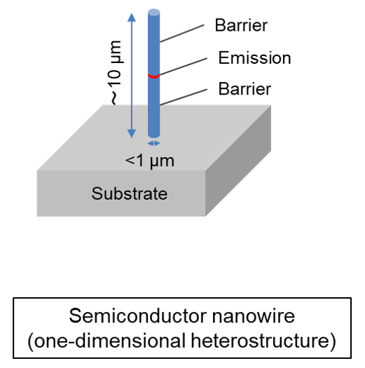 Semiconductor nanowire(one-dimensional heterostructure