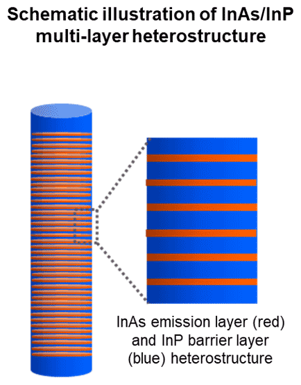 Schematic illustration of InAs/InP multi-layer heterostructure