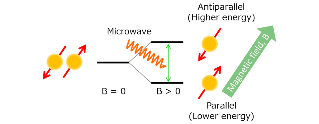 Fig. 2 Schematic diagram of electron spin resonance spectroscopy.
