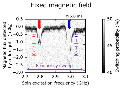 Fig. 4 Our experimental detected signals.