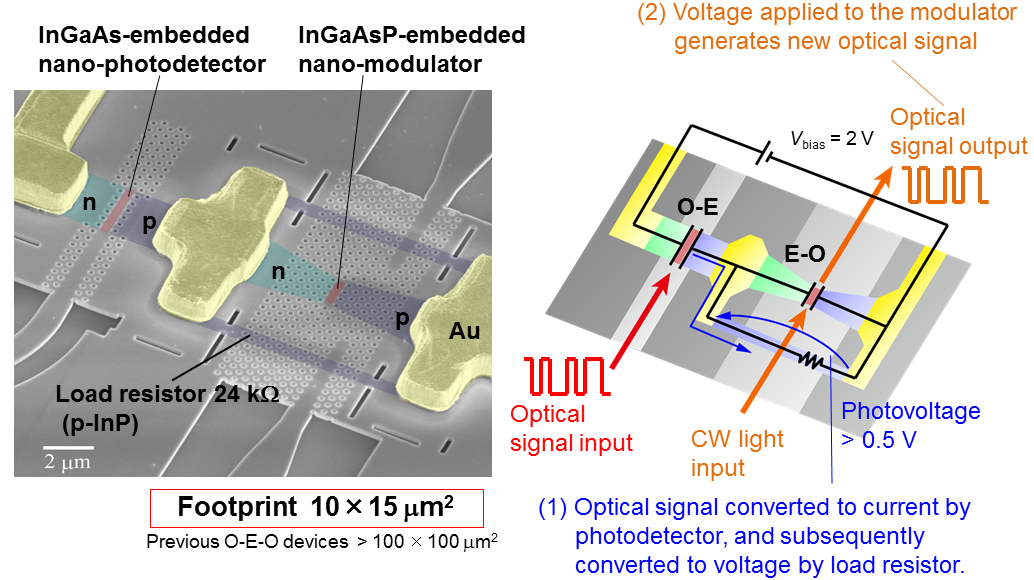 Fig. 3: O-E-O device realized by integrating a nano-photodetector and a nano-modulator. Left: Photograph of device Right: Operating principle for optical nonlinear action