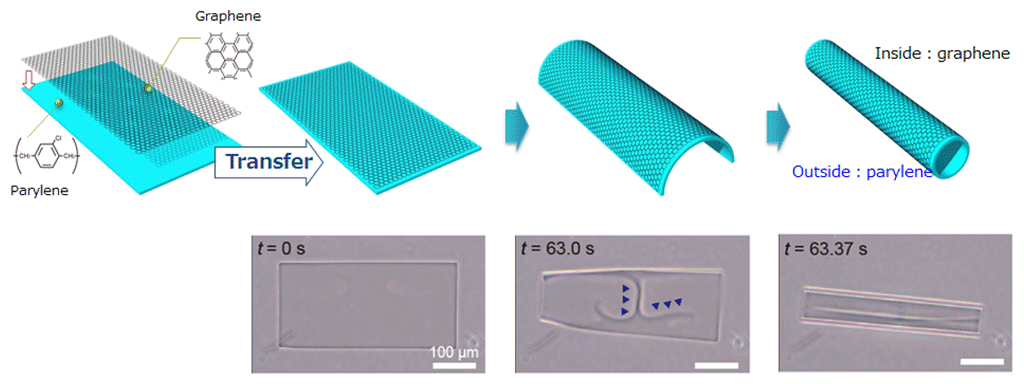 Figure 1. Three-dimensional self-folding of polymer thin film formed from monolayer graphene