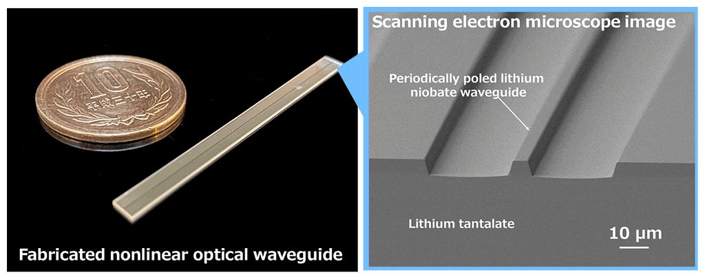 Figure 2 Images of fabricated nonlinear optical waveguides.