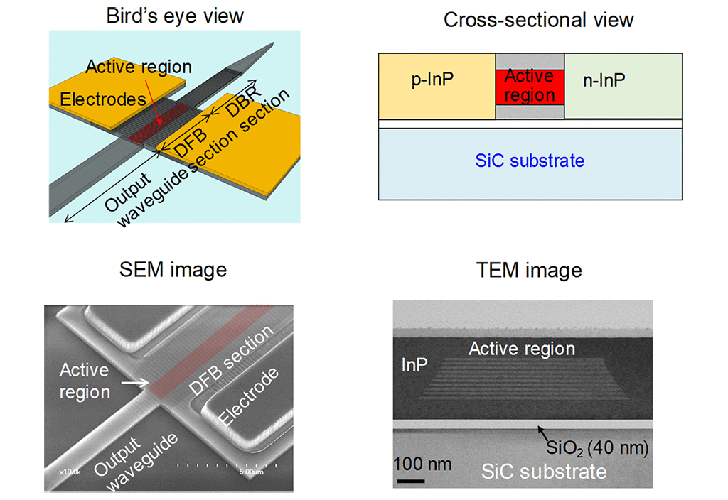 Fig. 3. Schematic diagrams of device and SEM and TEM images of fabricated device.