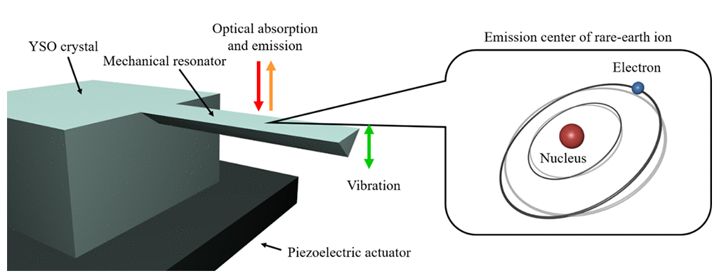 Figure. 1: Schematic diagram of a mechanical oscillator including a light-emitting center formed from a rare earth element. The area below and beside the mechanical oscillator was removed by oblique milling using ion beams. This produced a mechanical oscillator with an inverted triangle cross-section. The transducer is 160 microns long, 14 microns wide, and 7 microns thick. The mechanical oscillator is mounted on a piezoelectric actuator which can induce a mechanical resonance when an AC voltage is applied to the actuator. Further, a large ensemble of rare-earth emmiting centers is embedded inside the mechanical oscillator. These emitters are affected by strain caused by a mechanical resonance. Hence by driving the rare-earth emmiting centers using a laser, it is possible to investigate the optical absorption characteristics depending on the strain caused by mechanical oscillation.