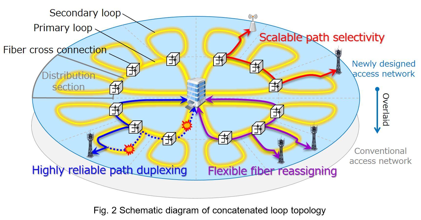 Fig. 2 Schematic diagram of concatenated loop topology