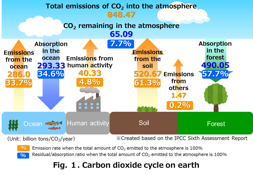 Fig. 1. Carbon dioxide cycle on earth