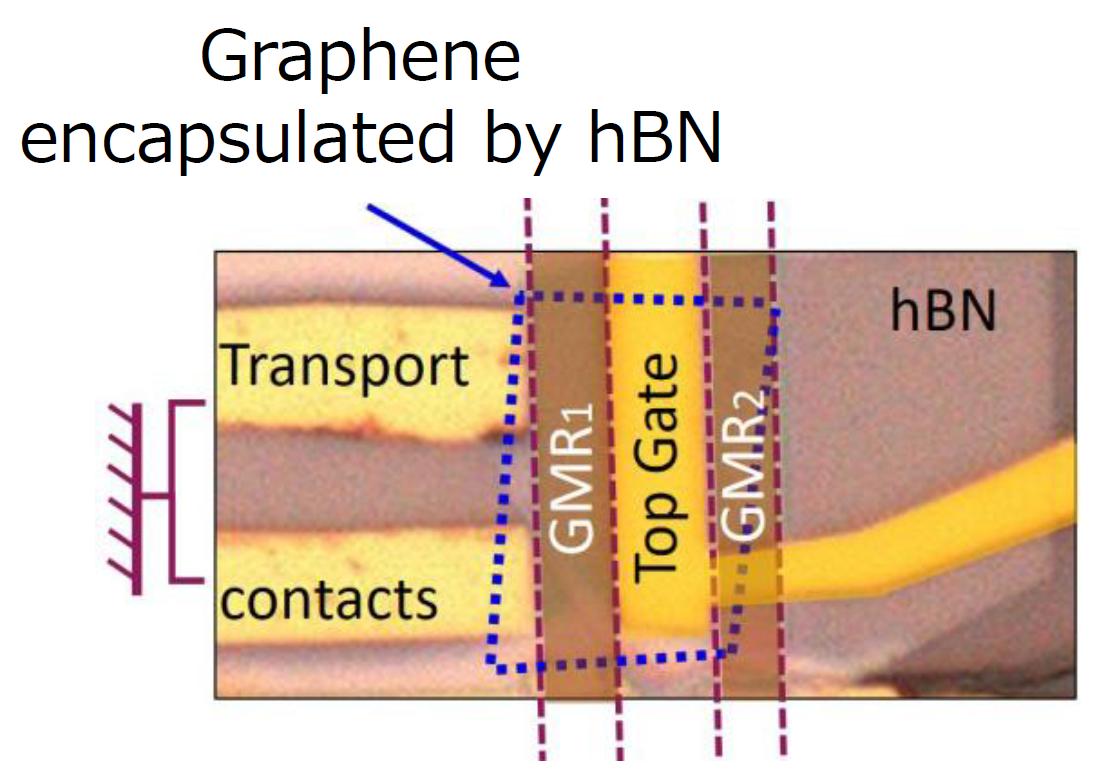 Fig. 4: Optical microscope image of the device. Graphene is encapsulated by hBN and deposited on the top of the GMR-based magnetic sensors.