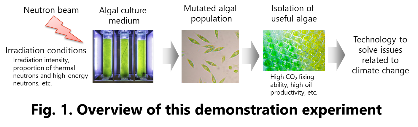 Fig. 1. Overview of this demonstration experiment