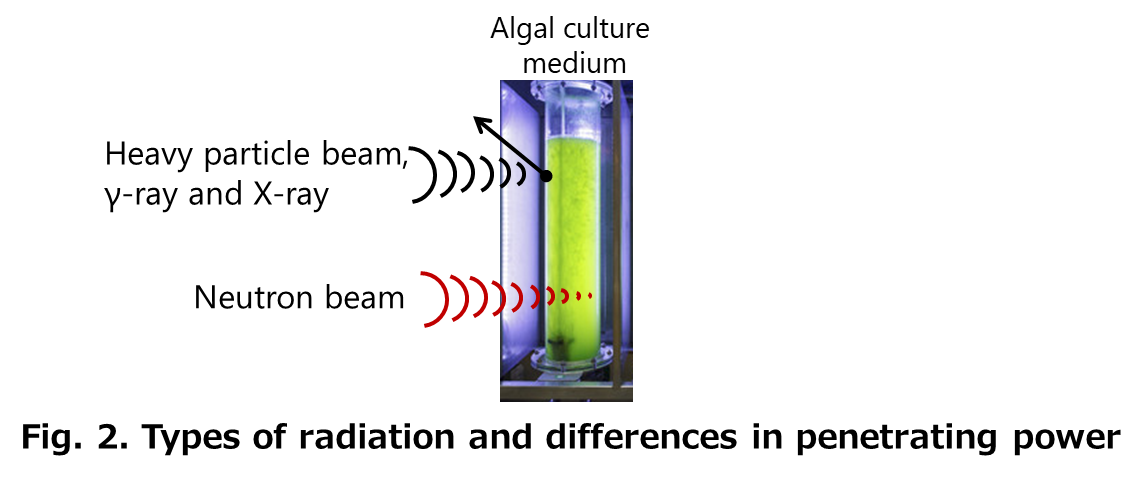 Fig. 2. Type of radiation and differences in penetrating power