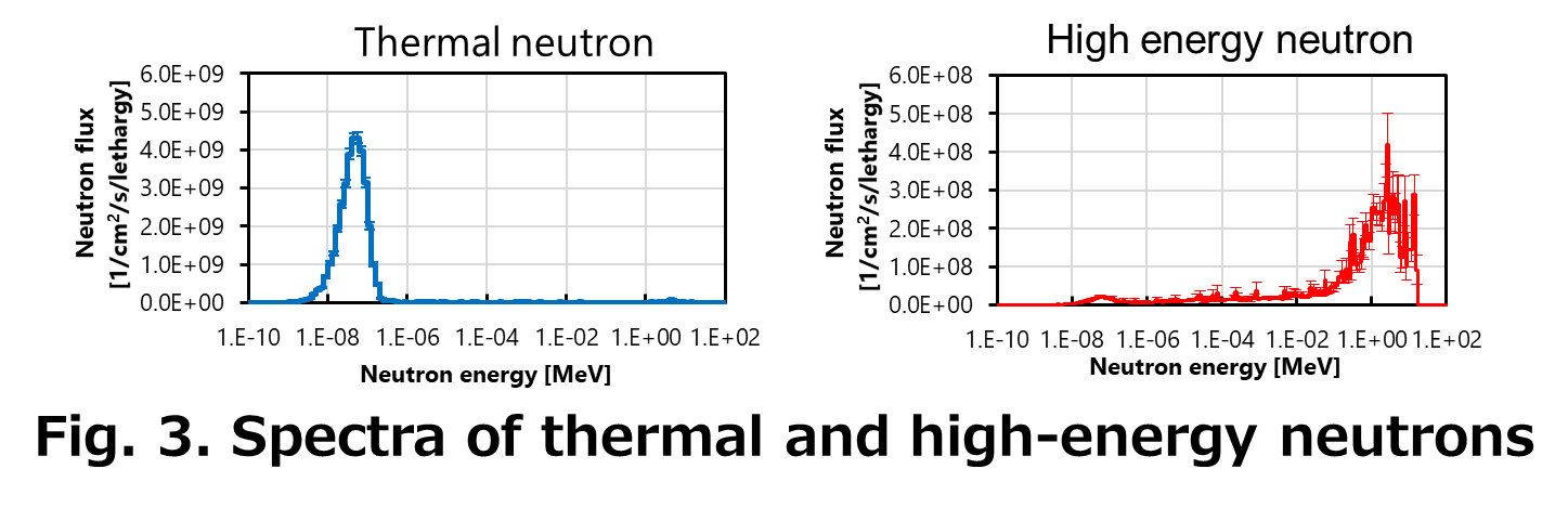 Fig. 3. Spectra of thermal and high-energy neutrons