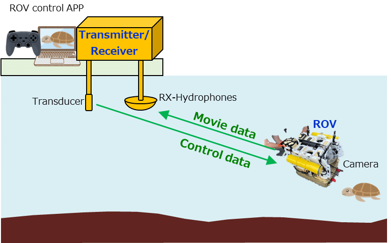 Fig. 3 System of wireless ROV