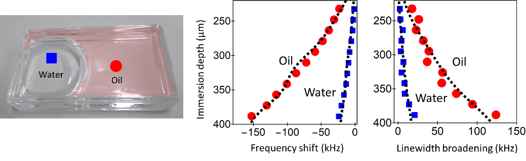 Fig. 3: Photograph of the liquid phase-separated into water and oil (left) and the measured frequency shifts (center) and linewidth changes (right) of the low-frequency mode in the water and oil domains.