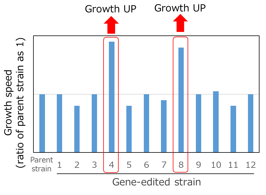 Figure 2　Results of NTT's evaluation (12 genes)