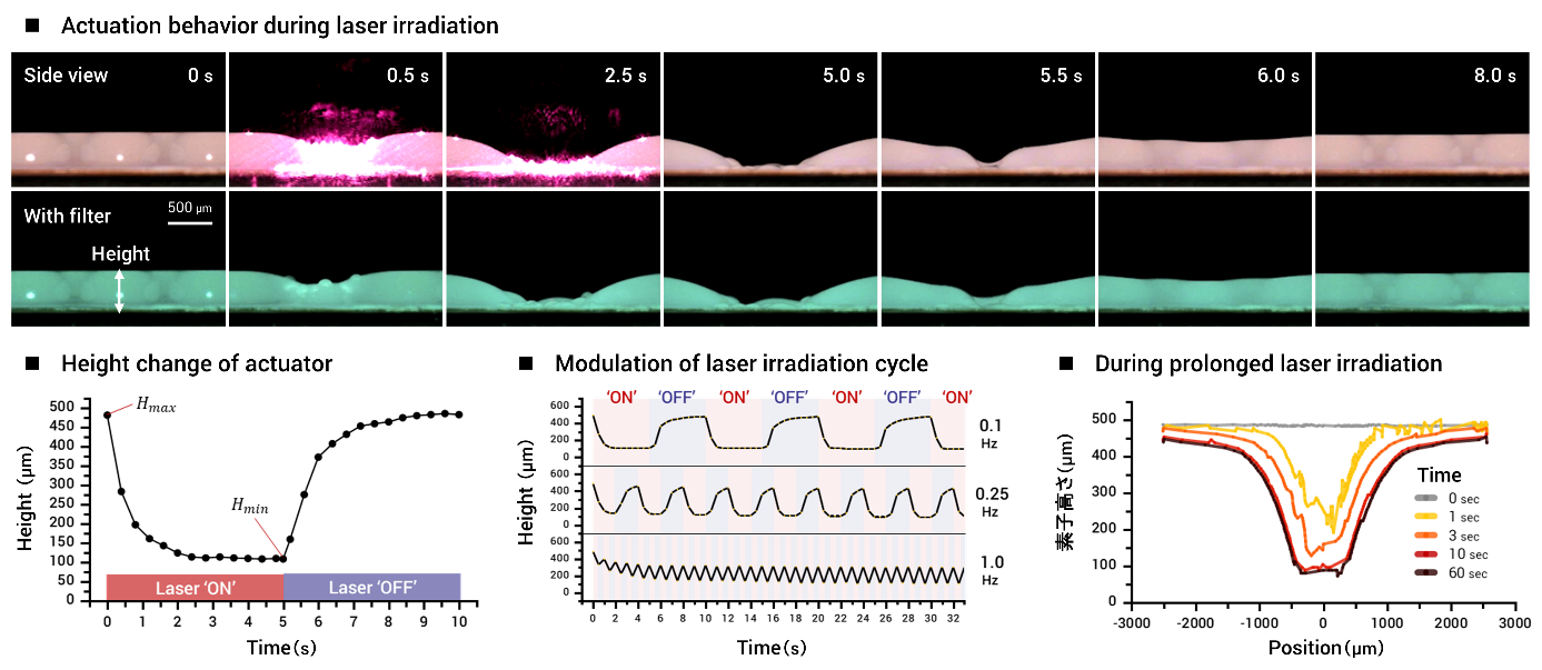 Figure 2: On-chip actuators capable of high-speed response, large deformation, and local response