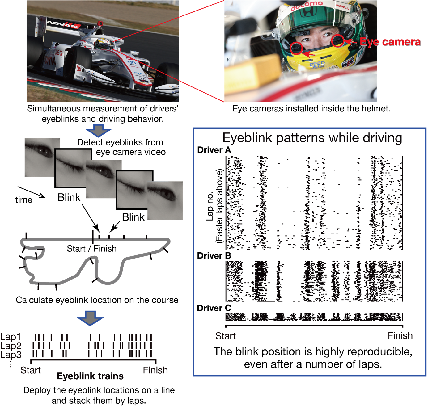 Figure 1. Eyeblink patterns during Formula car driving.