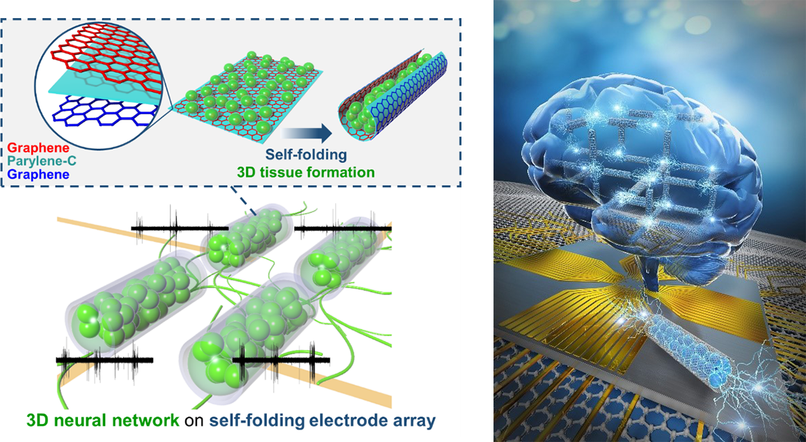 Figure 1. (Left) 3D electrode array for measuring activities from 3D neuronal network, (Right) an image of brain-on-a-chip.