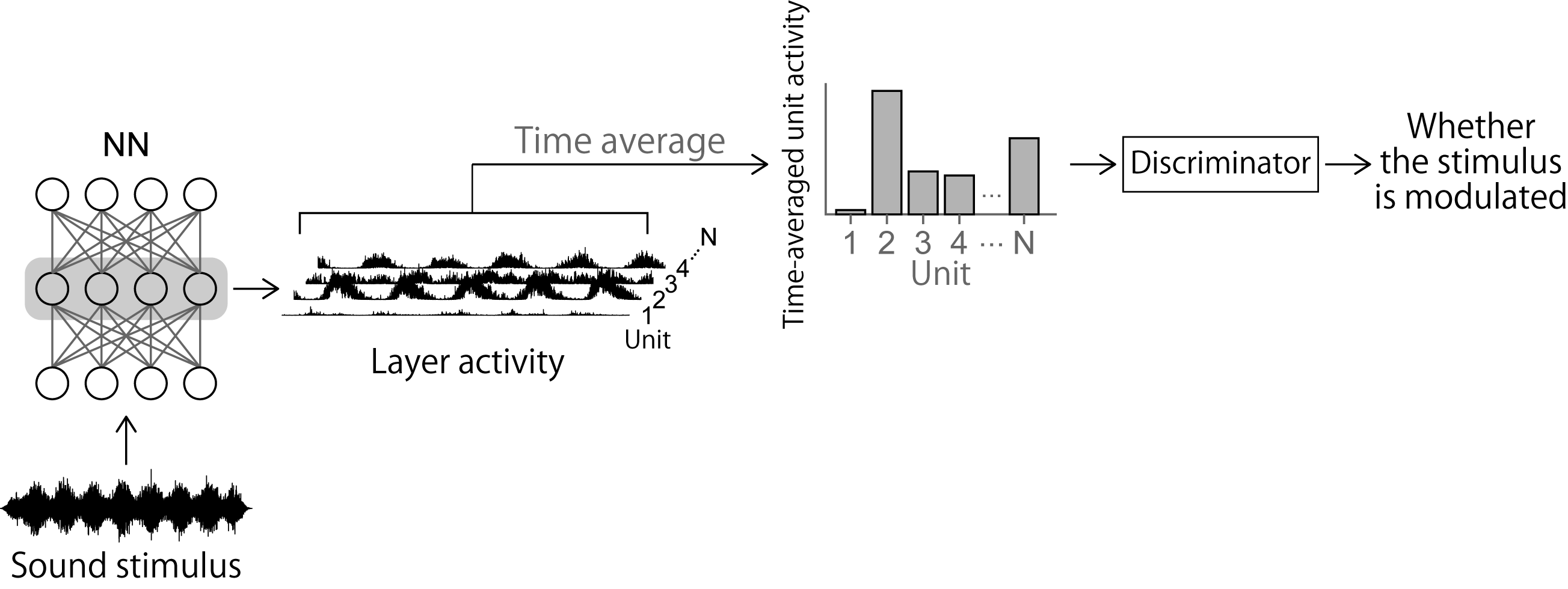 Figure 5 Simulation of an AM detection experiment. A sound was fed to the NN, and from the time-averaged unit activities, logistic regression was performed to discriminate whether the input sound was an AM sound or not.