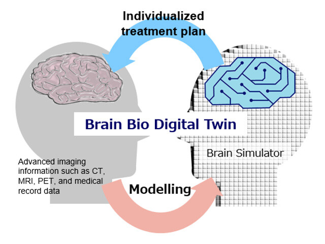 Figure 1 The Concept of Brain Bio-Digital Twin