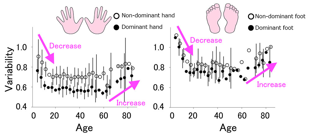 Figure 3 Variability of Hands and Feet Decreases with Growth and Increases in the Elderly