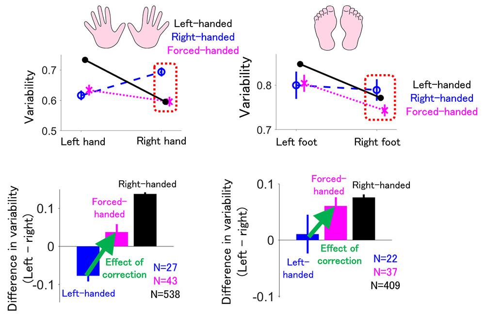 Figure 4 Forced Use of the Right Hand Affects the Variability of the Hands and Feet and the Difference in Variability Between the Left and Right Sides.