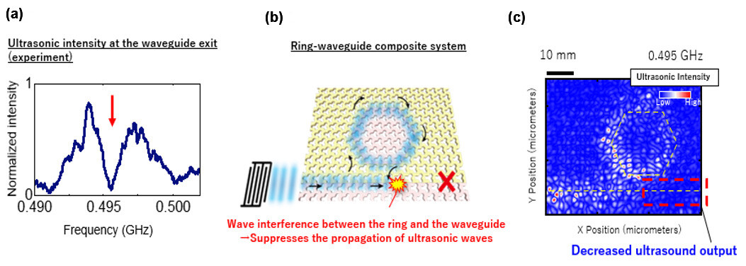 Figure 4 (a) Frequency response of the waveguide output in the topological ring-waveguide coupled system. There is a filtering effect around 0.495 GHz where the output drops significantly (red arrow). (b) Schematic diagram showing the principle of an ultrasonic filter. The ultrasonic waves circulate in the ring without backscattering, causing interference between the waves in the ring and the waveguide and suppressing the ultrasonic waves traveling through the waveguide. (c) Measured results of spatial propagation of ultrasonic waves at 0.495 GHz. Ultrasonic filtering significantly reduces the ultrasonic output in the waveguide.