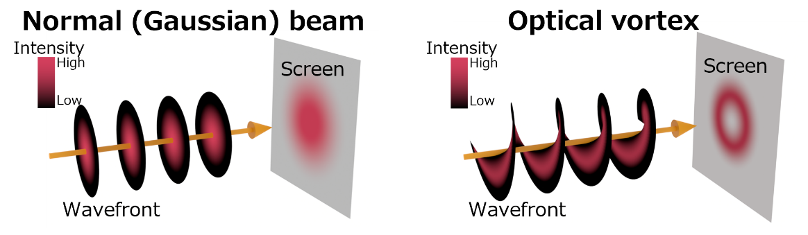 Figure 2 Wavefront of the optical vortex and intensity distribution of the beam cross-section when it hits the screen