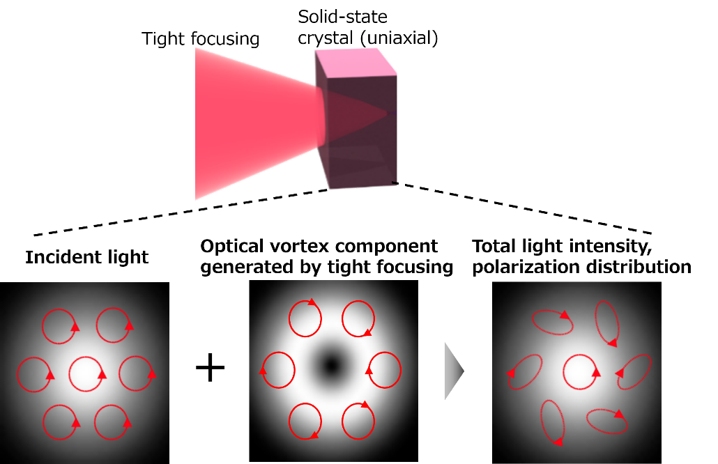 Figure 4 Polarization state produced by light with tight focusing (focused by a lens with a short focal length) on a solid-state crystal