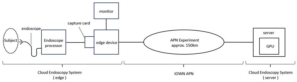 Figure 2 Configuration of the Cloud Endoscopy System and APN Experiment