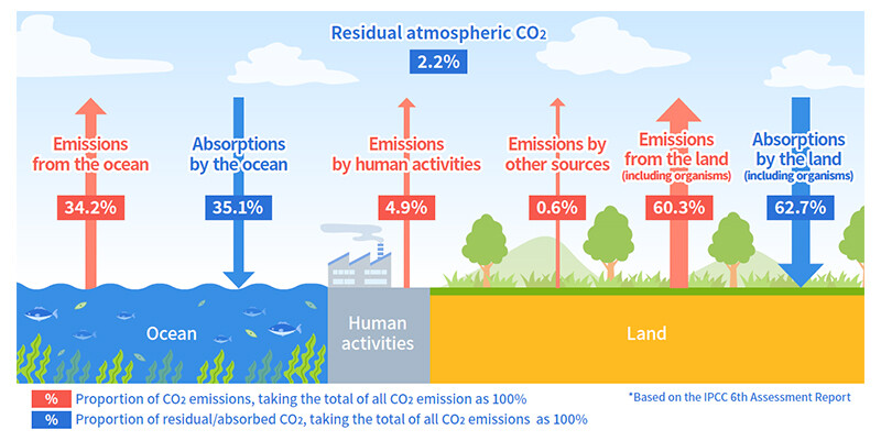 Figure 1 Carbon Dioxide (CO2) Cycle on Earth