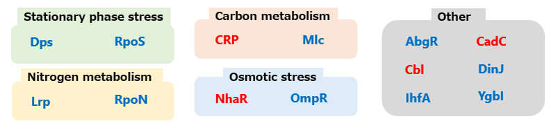 Figure 5 Functional Classification of Identified Genes in Microorganisms