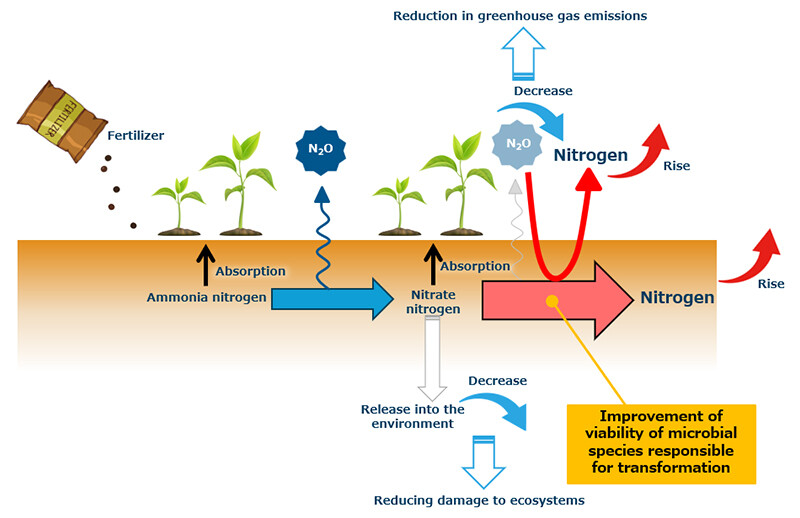 Figure 6 Example of Future Development Using This Fundamental Technology