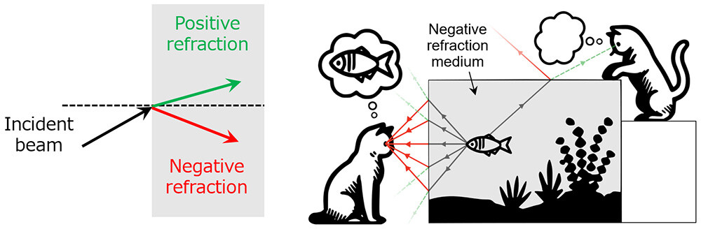 Figure 1: What is Negative Refraction? (Left) Refraction of light at the interface of a medium (grey box). Positive refraction (green) bends the beam within the upper region (above the dashed line), while negative refraction (red) bends it in the opposite direction. (Right) In a negatively refracting medium (grey box), light rays coming from a fish could bend at the interface with air (red lines) to refocus into the eyes of the cat on the left, or to be directed away and hide the fish from the cat on the right. For comparison, a usual case of refraction is shown in the faint green lines. This simple difference entails powerful applications such as superlenses and cloaks for light.