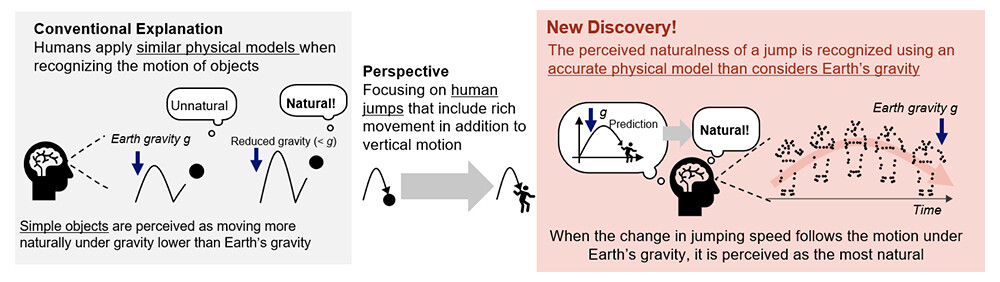 Outline of the Findings