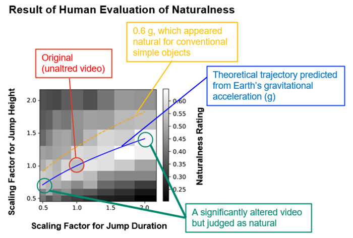 Figure 2 Results of Participants' Evaluation of the Perceived Naturalness of the Jump Videos. Note. Each grid cell corresponds to one video, and the whiter the cell, the more natural the video was perceived to be. These results indicate that jump movements that follow the laws of gravity of Earth (jump motions near the blue line) are perceived as more natural.