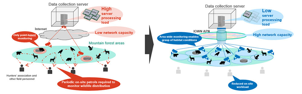 Figure 1 Current Status of Wildlife Monitoring and Future Vision of the Communication Control Technology.
