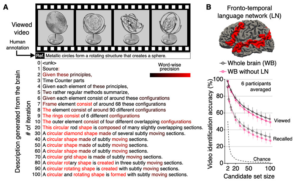 Figure 3 Text generation results from brain activity related to perceived and recalled content. (A) Examples of text generated from brain activity during the iterative optimization process under the perception condition. (B) Video identification performance when language-related brain regions (language network; LN) were included or excluded from the analysis. Identification accuracy was evaluated by varying the number of candidate videos from 2 to 100, based on similarity scores (correlation of semantic features) between the generated text and the human-written reference descriptions for each video.
